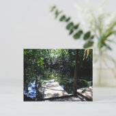 Regenwald Postkarte (Stehend Vorderseite)