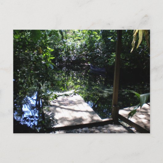 Regenwald Postkarte (Vorderseite)