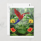 Regenwald Postkarte (Vorne/Hinten)