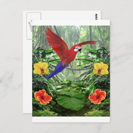 Regenwald Postkarte (Vorne/Hinten)