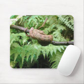 Regenwald-Schlangen-Verpackung - mousepad (Mit Mouse)