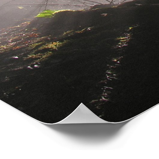 Regenwald Sonnenstrahlen Poster (Ecke)