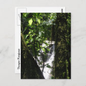 Regenwald-u. Wasserfall-Postkarte Postkarte (Vorne/Hinten)