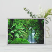 Regenwald u. Wasserfälle Einladung (Stehend Vorderseite)