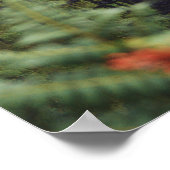 Regenwald Wasserfall Fotografie Poster (Ecke)
