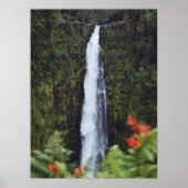 Regenwald Wasserfall Fotografie Poster (Vorne)