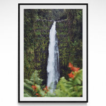 Regenwald Wasserfall Fotografie Poster