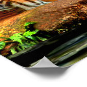 REGENWALD WILDLIFE POSTER (Ecke)