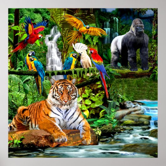 REGENWALD WILDLIFE POSTER (Vorne)