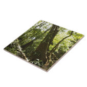 Regenwaldansicht, Dominica Fliese (Seite)