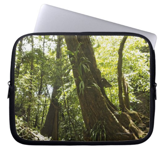 Regenwaldansicht, Dominica Laptopschutzhülle (Vorderseite)