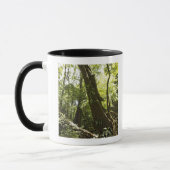Regenwaldansicht, Dominica Tasse (Links)