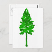 Regenwaldgrün Postkarte (Vorne/Hinten)