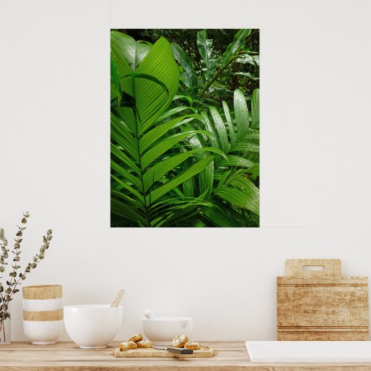 Regenwaldpalmen Poster (Küche)