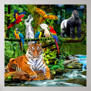 REGENWALDWILDLIFE POSTER