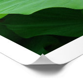 Regenwasser auf einem Lotus Leaf: Japan Poster (Ecke)