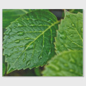 Regenwasser-Tropfen-Blätter nass Geschenkpapier (Flach)