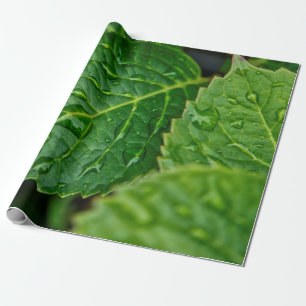 Regenwasser-Tropfen-Blätter nass Geschenkpapier