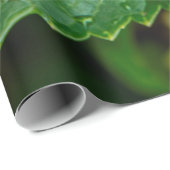 Regenwasser-Tropfen-Blätter nass Geschenkpapier (Rolleneckpunkt)