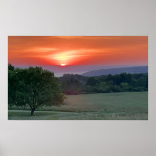 REGION DER RENOWN FINGER SEEN POSTER