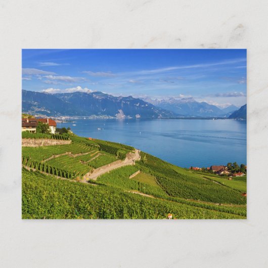 Region Lavaux, Waadt, HDR Postkarte (Vorderseite)