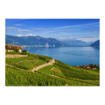 Region Lavaux, Waadt, Schweiz
