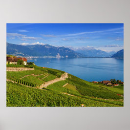 Region Lavaux, Waadt, Schweiz Poster