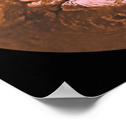 Region Mare Boreum Mars Poster (Ecke)