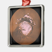 Region Mare Boreum Mars Silbernes Ornament (Links)