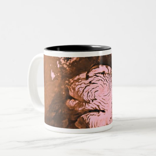 Region Mare Boreum Mars Zweifarbige Tasse (Vorderseite Links)