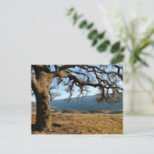 Regionalpark Del Valle, Livermore, CA Postkarte (Stehend Vorderseite)