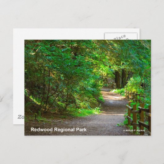 Regionalpark Redwood Postkarte (Vorne/Hinten)