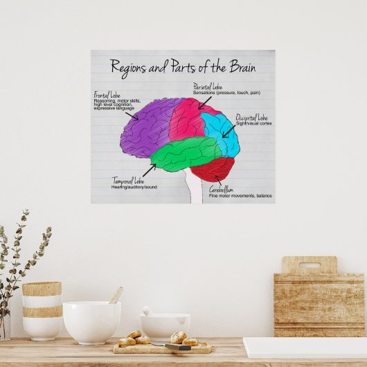 Regionen und Teile des Gehirns Poster (Küche)