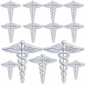 Registriert Nurse RN Silver Caduceus Aufkleber (Vorderseite)