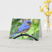 Regnerischer Tagesdrossel-Gruß-Karte, leeres Karte (Gelbe Blume)