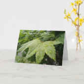 Regnerischer Tagesjahrestage Karte (Gelbe Blume)