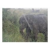 Regnet nach unten in Afrika Poster (Vorderseite)