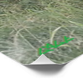 Regnet nach unten in Afrika Poster (Ecke)