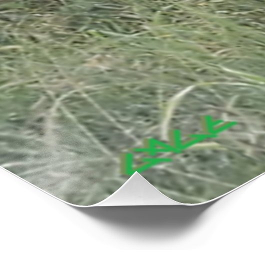 Regnet nach unten in Afrika Poster (Ecke)