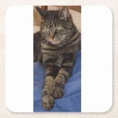 Reguläre Dave-benutzerdefinierte Coster Rechteckiger Pappuntersetzer (Vorderseite)