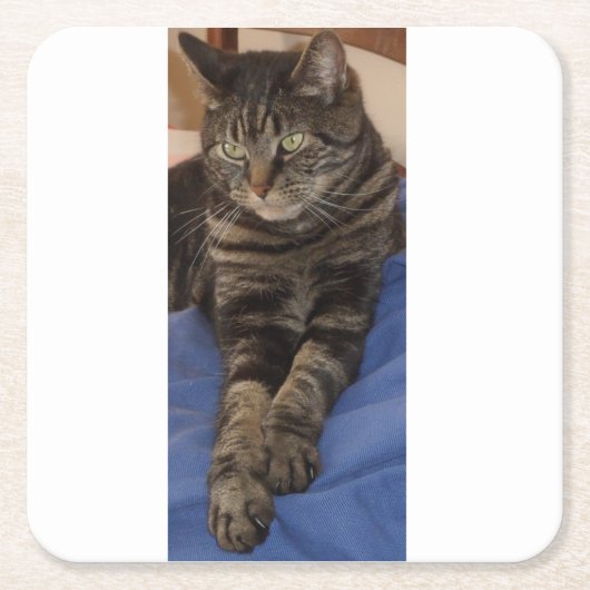 Reguläre Dave-benutzerdefinierte Coster Rechteckiger Pappuntersetzer (Vorderseite)