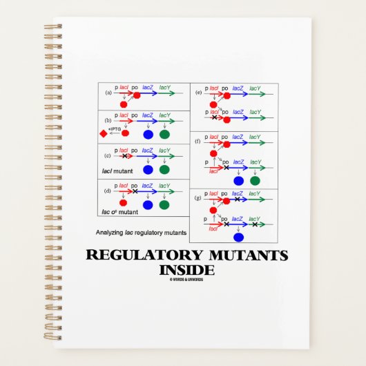 Regulatorische Mutanten in der Ergänzung des Regel Planer (Vorderseite)