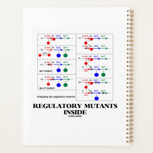 Regulatorische Mutanten in der Ergänzung des Regel Planer (Rückseite)