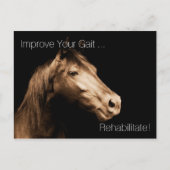 Rehabilitationstherapie Pferdespezialistin Postkarte (Vorderseite)