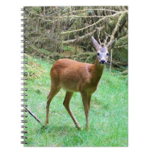 Rehbock im Wald Natur Notizbuch Wildtiere