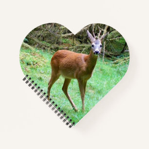 Rehbock in Positur Herz individuell Waldlandschaft Notizblock