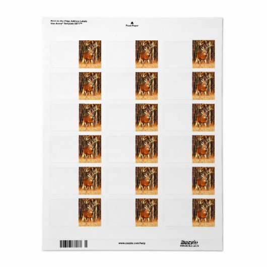 Reheels Labels Adressaufkleber (Vorne)