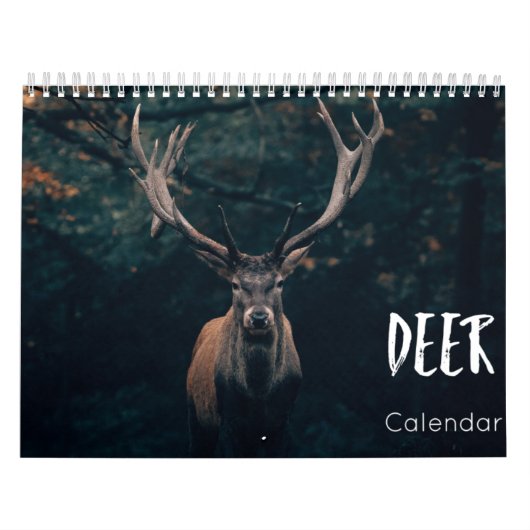 Rehkalender 2023 kalender (Titelbild)