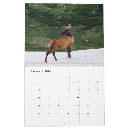Rehkalender 2023 kalender (Jan 2026)