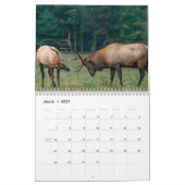 Rehkalender 2023 kalender (Mär 2027)
